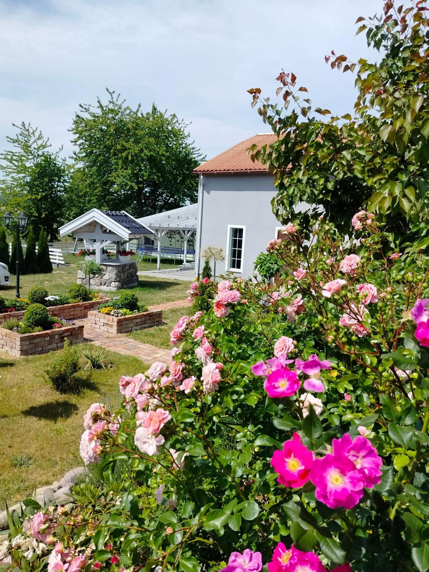 Agroturystyka Rybno Rybno  Buitenkant foto